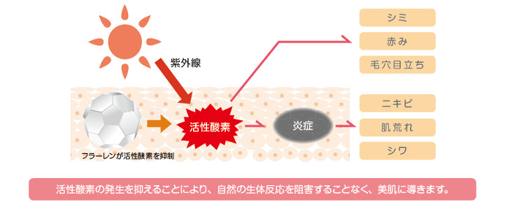 活性酸素の害