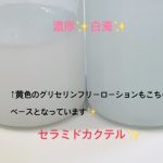 ビタミンC誘導体APPS×ビタミンE誘導体TPNa　配合グリセリンフリー化粧水【セラミド高配合ベース】