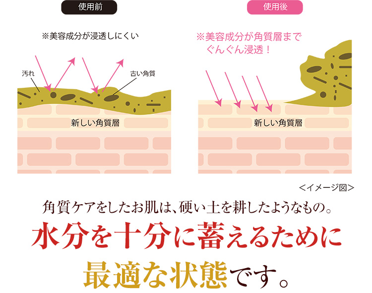 角質ケアをしたお肌は、硬い土を耕したようなもの。水分を十分に蓄えるために最適な状態です。