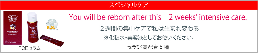 FCEセラム