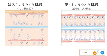 ナノカプセルとは