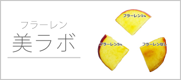 美ラボ