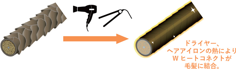 ドライヤー、ヘアアイロンの熱によりW ヒートコネクトが毛髪に結合。
