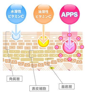 プレミアムAPPSは他の商品とどこが違うの？