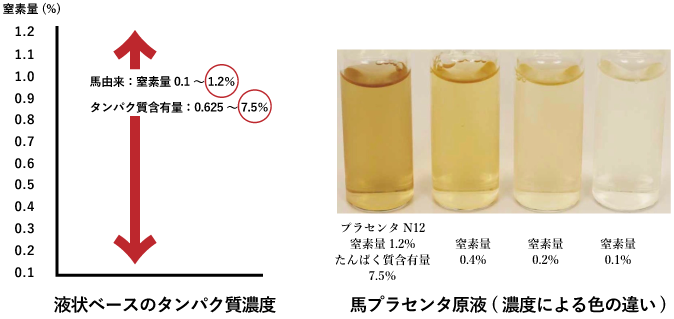 馬プラセンタ原液100美容液 1ml×1枚